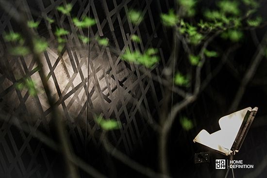 HD林麗妮 | 以設計為驅(qū)動 聚焦品牌差異化優(yōu)勢打造