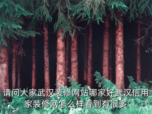 請問大家武漢裝修網站哪家好武漢信用家裝修網怎么樣看到有很多
