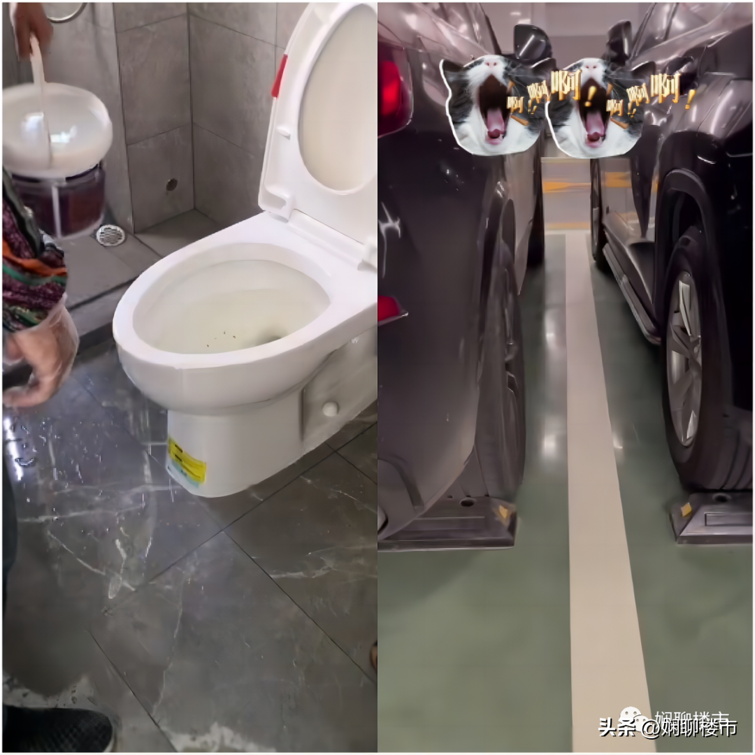 廈門精裝房政策_(dá)廈門精裝房裝修_廈門精裝修樓盤(pán)